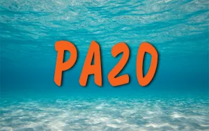 Illustration Plongeur Autonome 20m pour la plongée chez A PAPA DLO Plongée