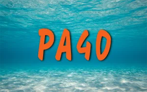 Illustration Plongeur Autonome 40m pour la plongée chez A PAPA DLO Plongée