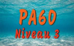 Illustration Plongeur Autonome 40m pour la plongée chez A PAPA DLO Plongée